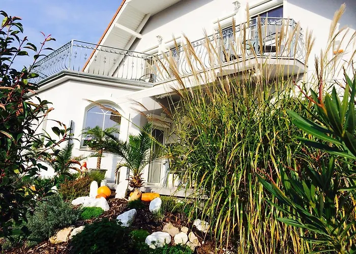 Judit Vendeghaz B&B Bük